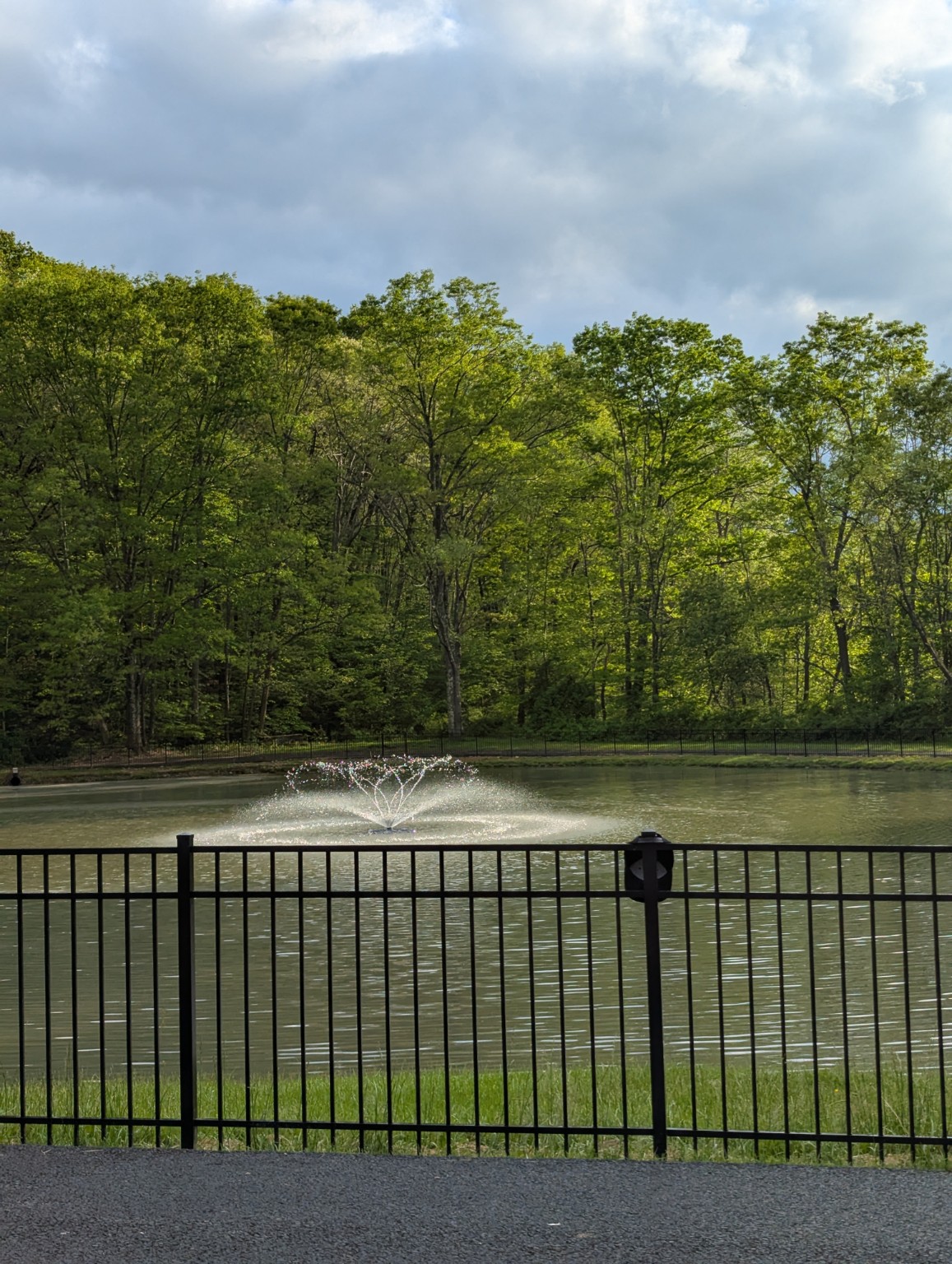 Pond with a fountain, trees, and paved path at Around the Pond